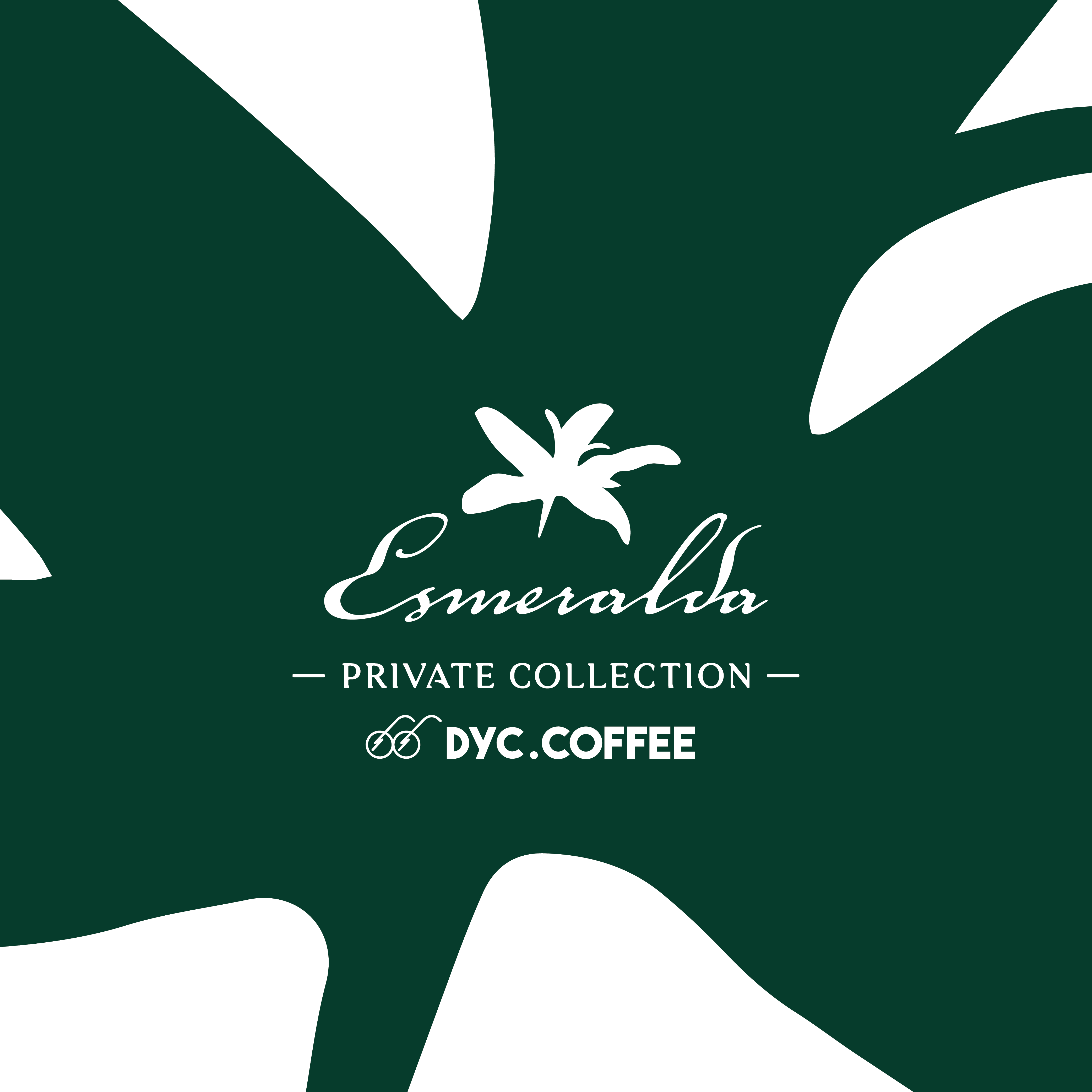 巴拿馬 翡翠莊園 綠標 藝伎 水洗