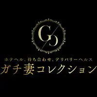 ガチ妻コレクション