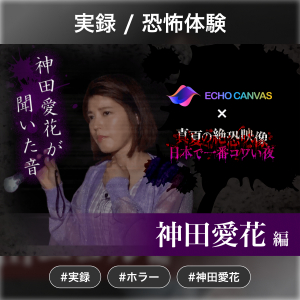藤田ニコル編：絶恐ロケ音声「真夏の絶恐映像 日本で一番コワい夜