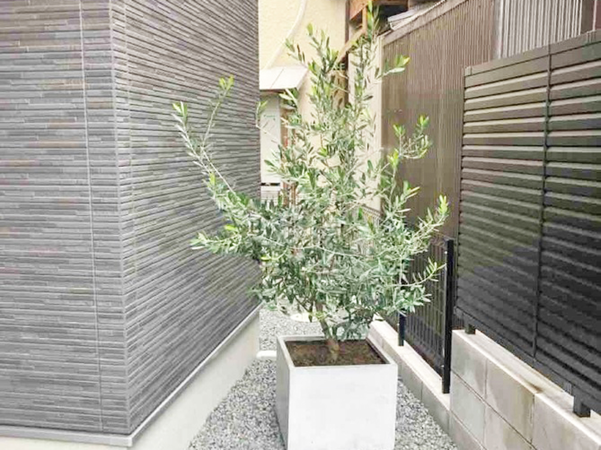 ���꡼�֡�ȭ�������ܹ���