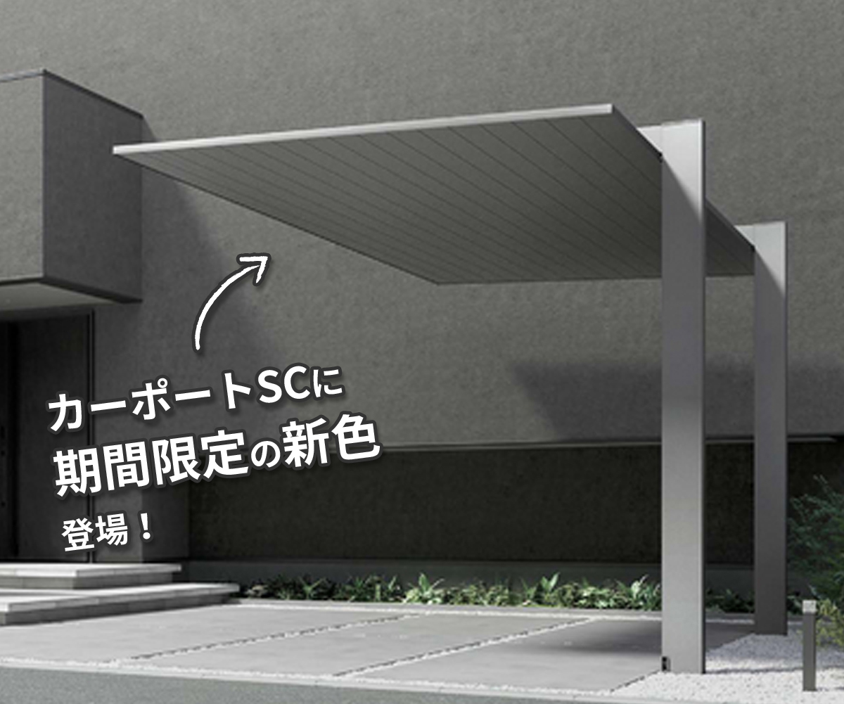SCテクスチャードカラー