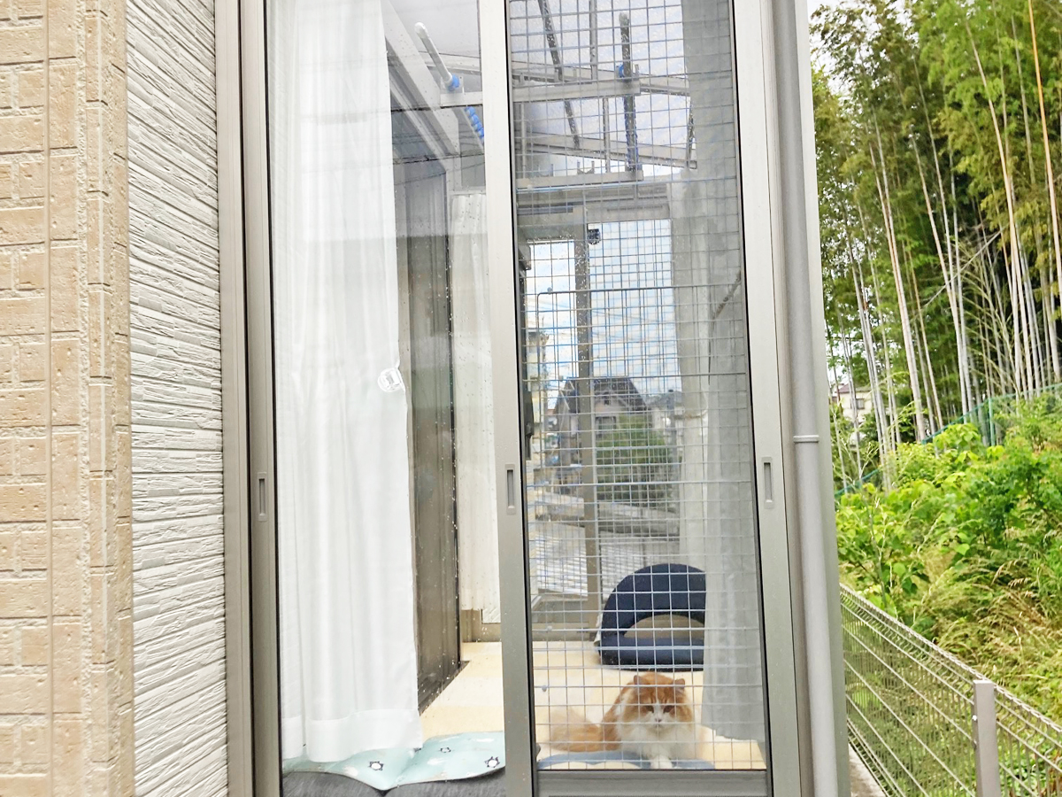 YKK ����ꥢ���ܹ���