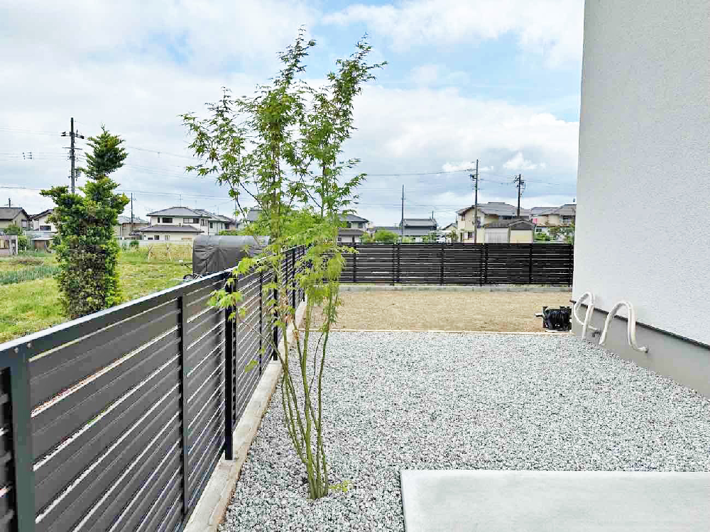 4月 シンボルツリー イロハモミジ 落葉樹 植栽.jpg 4月 シンボルツリー イロハモミジ 落葉樹 植栽.jpg