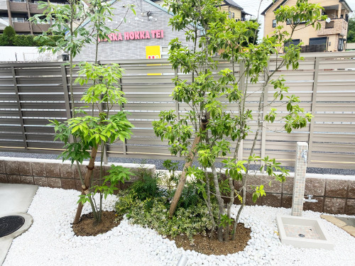 ����ܥ�ĥ꡼ ���饫��