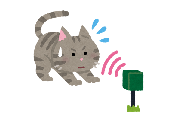 Ķ����