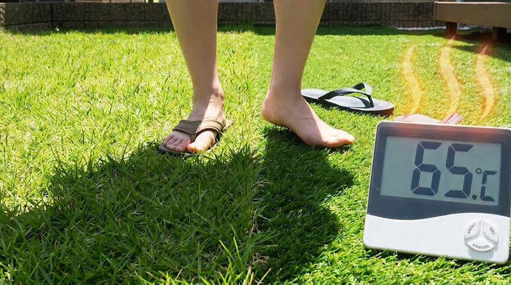 �ƾ�ο͹��ǡ����᡼������