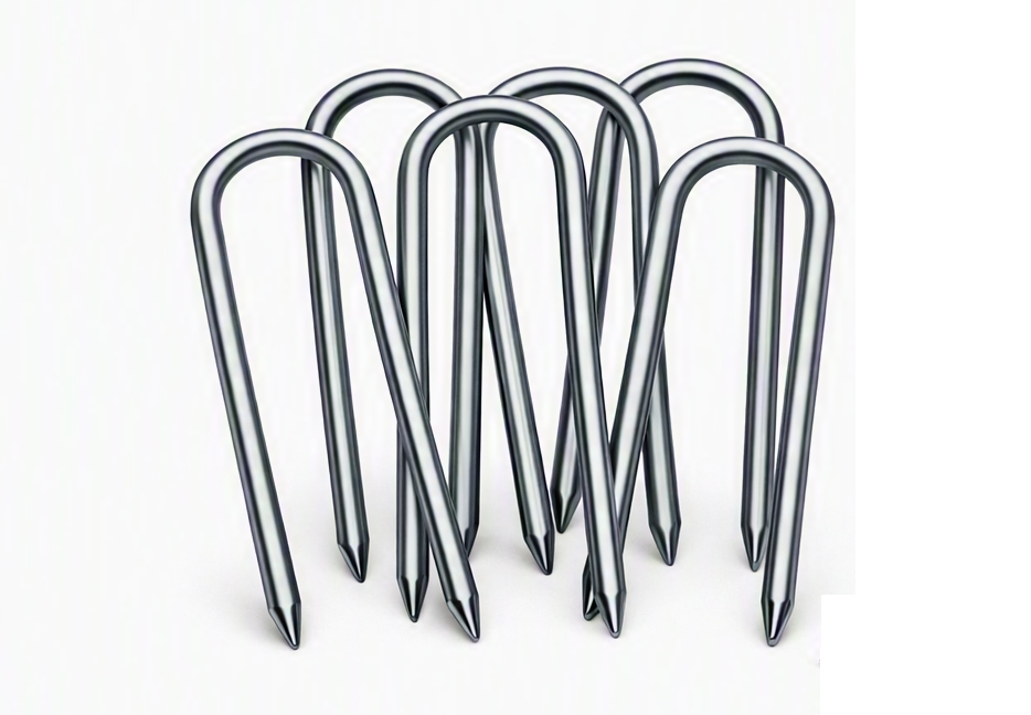 BCO.70fafd91-b7a6-42e0-9c2c-f925aaa9cf99.png BCO.70fafd91-b7a6-42e0-9c2c-f925aaa9cf99.png