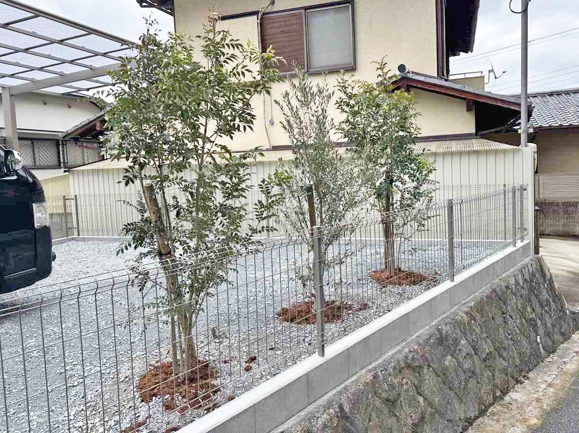 ���꡼�֡��ܱ������ܹ���