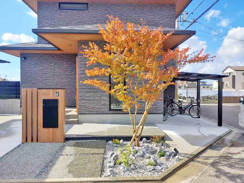 11月 シンボルツリー イロハモミジ 落葉樹 植栽.jpg 11月 シンボルツリー イロハモミジ 落葉樹 植栽.jpg