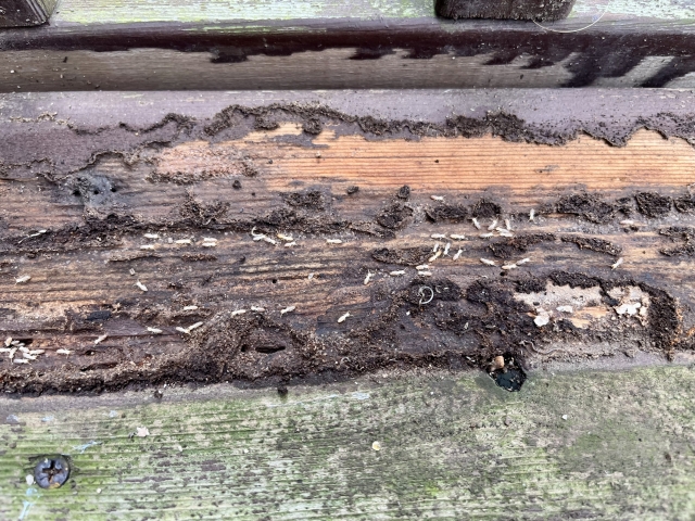 白アリ被害のウッドデッキ