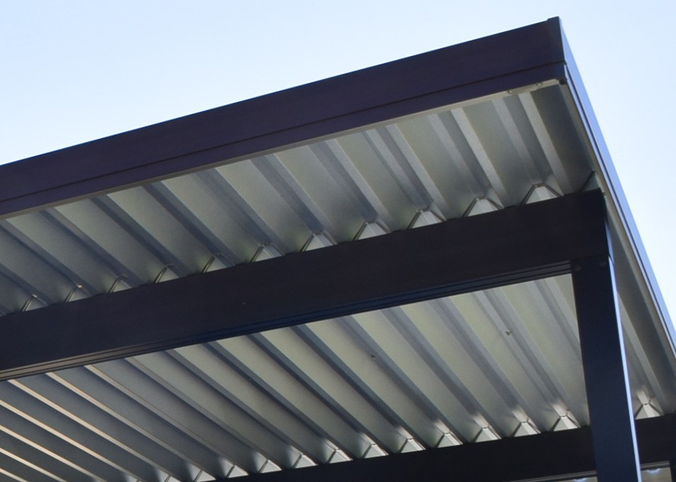 ���Ĳ���