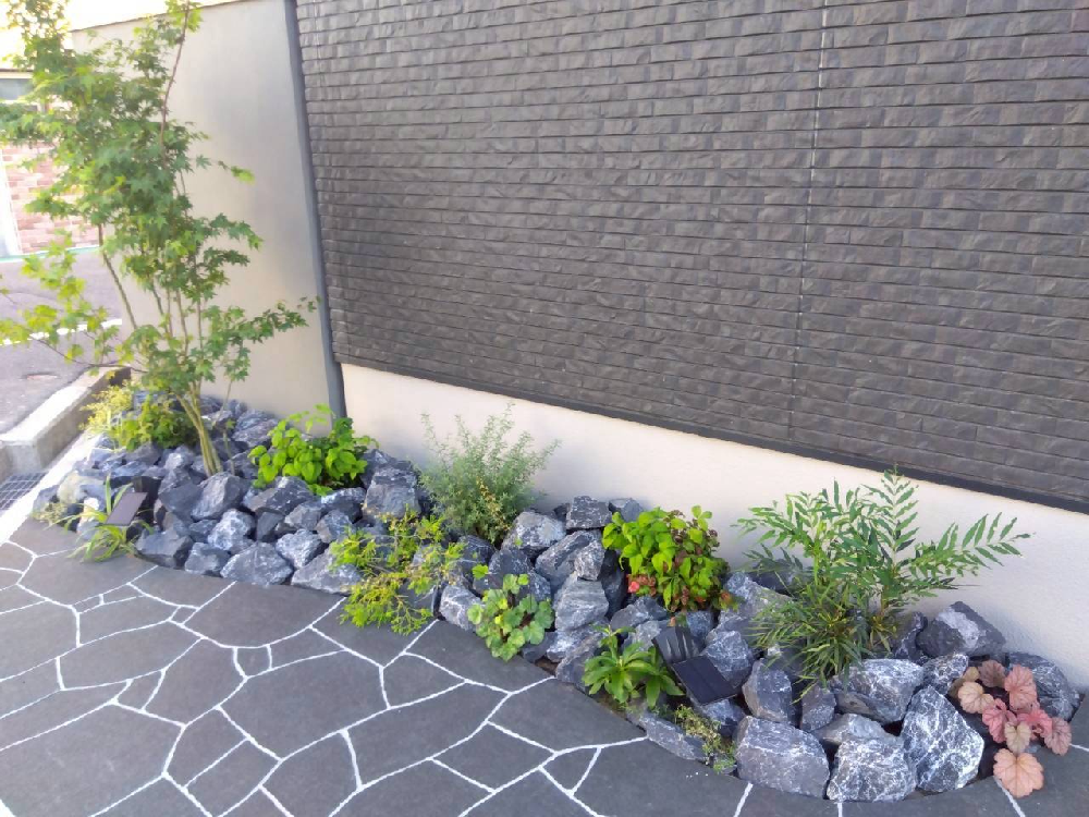 植栽 シンボルツリー落葉樹 イロハモミジ 下草 ロックガーデン ユニソン ワズロック アオバ.jpg 植栽 シンボルツリー落葉樹 イロハモミジ 下草 ロックガーデン ユニソン ワズロック アオバ.jpg