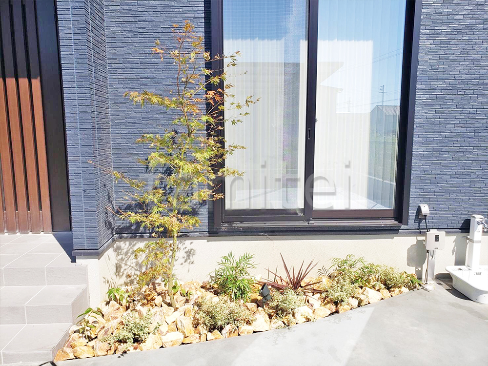 コルジリネ　花壇　施工例