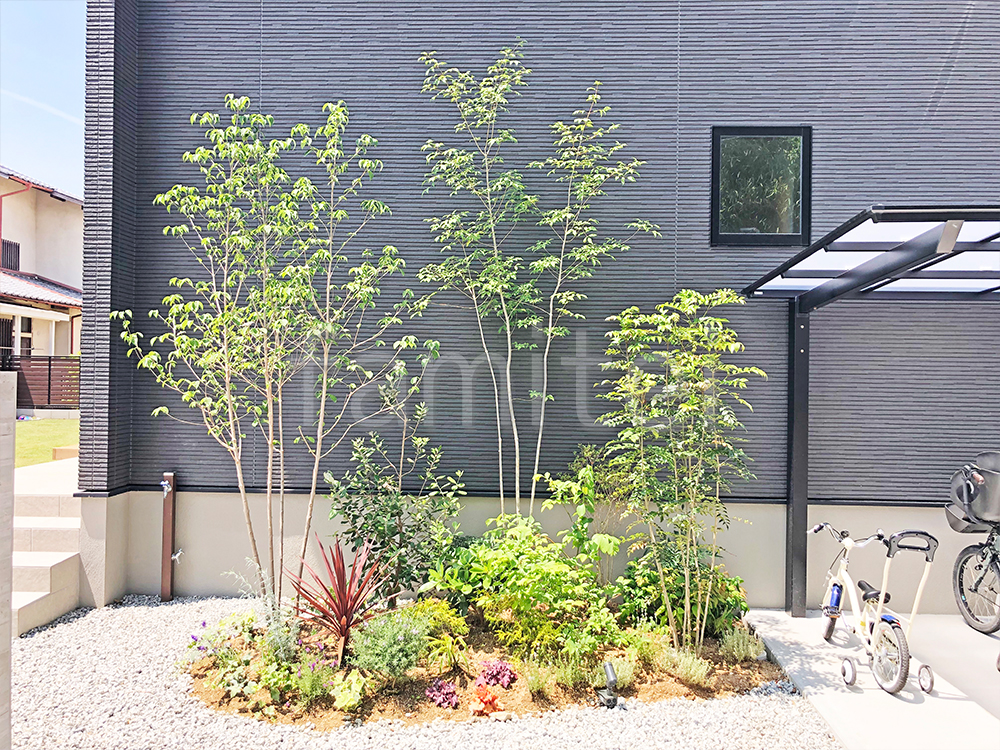 コルジリネ　花壇　施工例