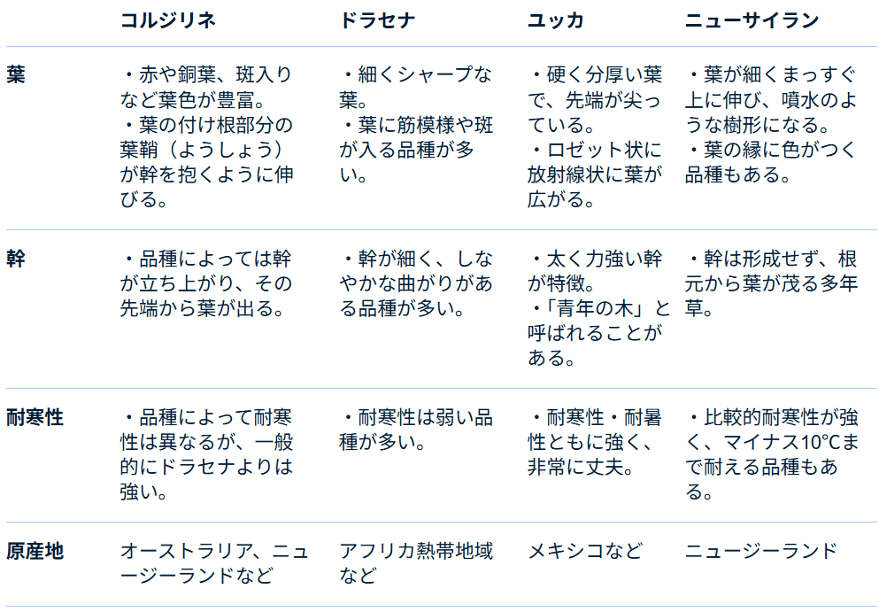 コルジリネ・ドラセナ・ユッカ・ニューサイランの違い コルジリネ・ドラセナ・ユッカ・ニューサイランの違い