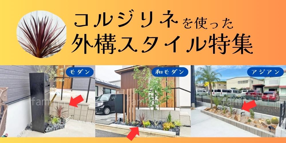 コルジリネ　TOP画像