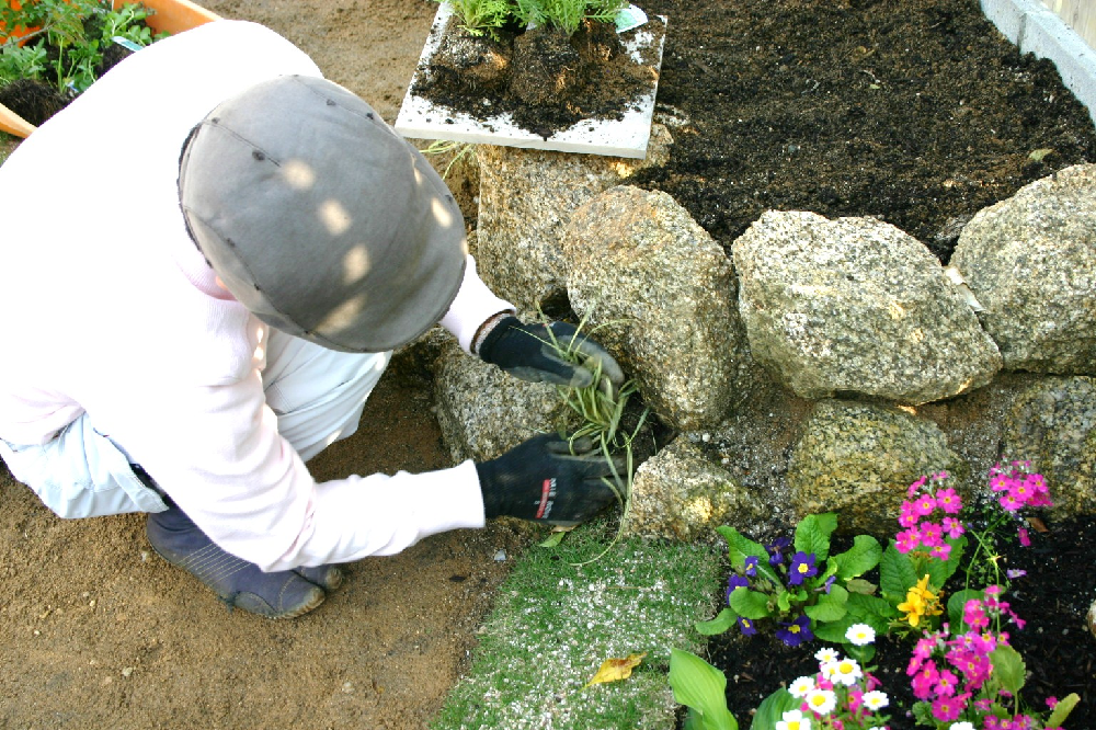 ワンポイント植栽 ワンポイント植栽