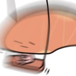 ぬ