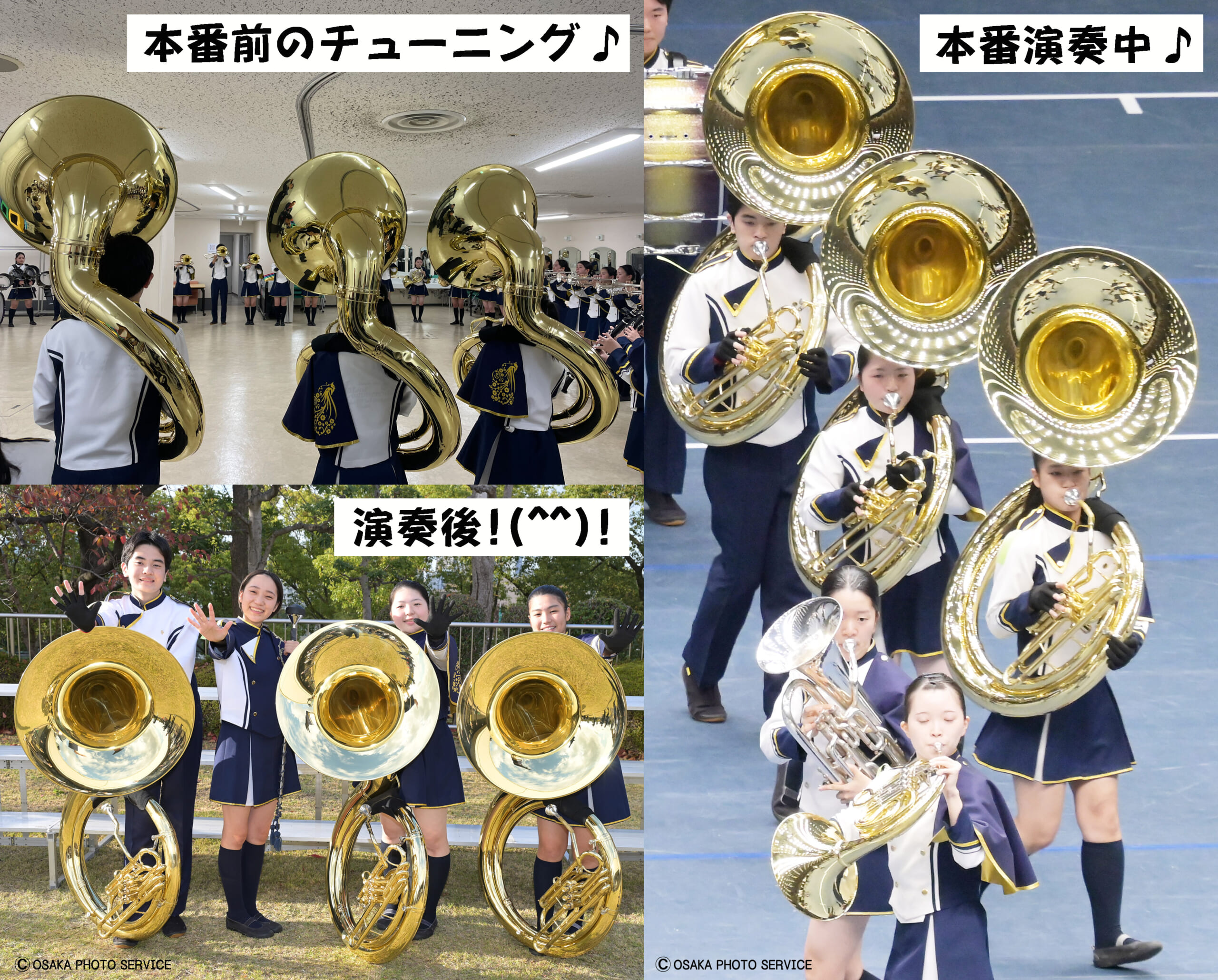 スーザフォン | - YAMAHA ヤマハ ⁄ ミニチュア楽器 YSH-411S 島村楽器 