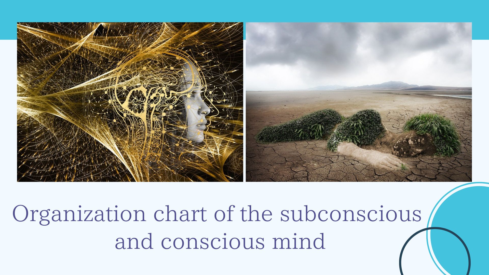 Organization of the Subconscious and Consciousness