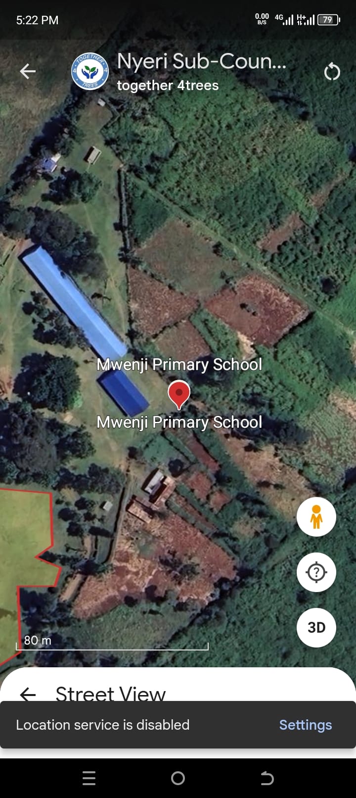 Tree Planting exercises