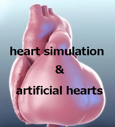 The SDGs HEART PROJECT