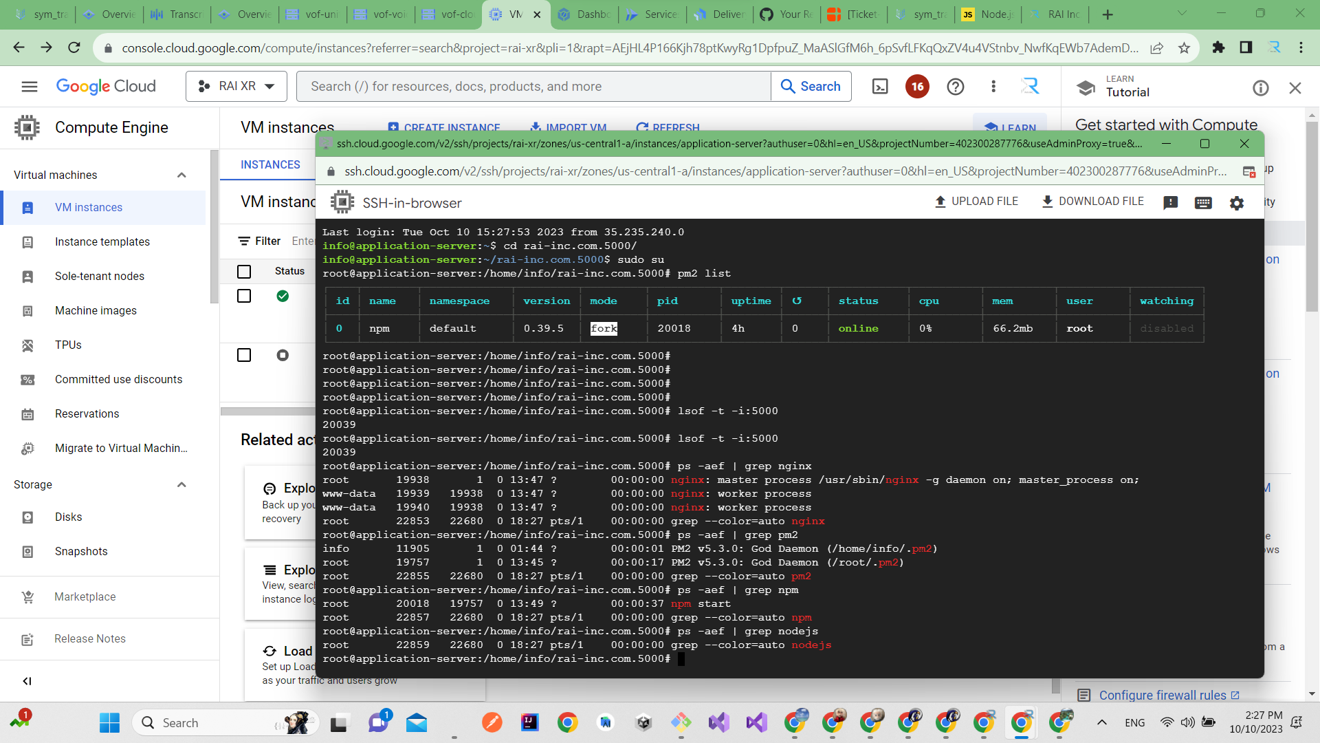 RAI-INC.COM live on Google Cloud - migrated from from hostwinds.com