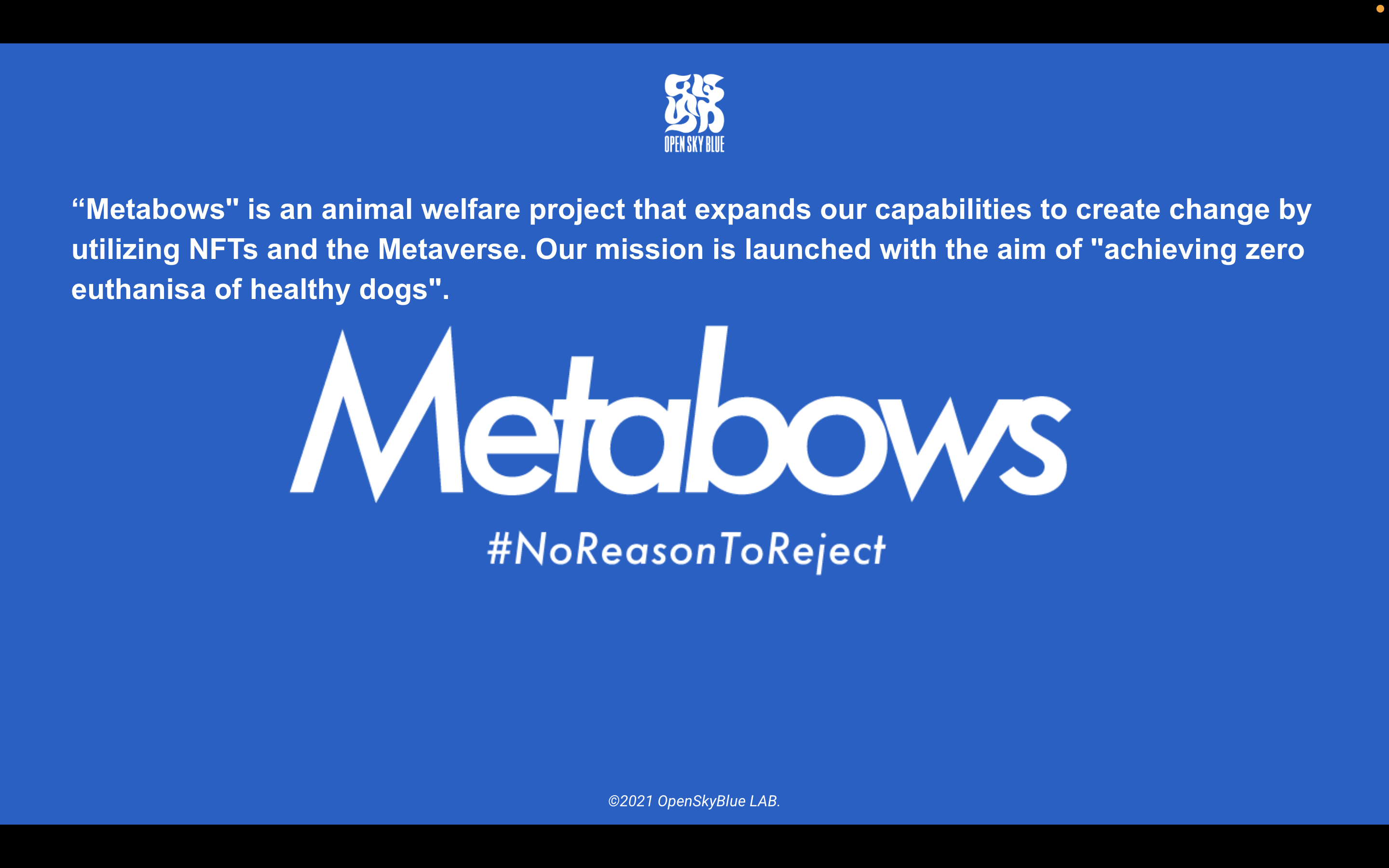 An introduction of "Metabows"