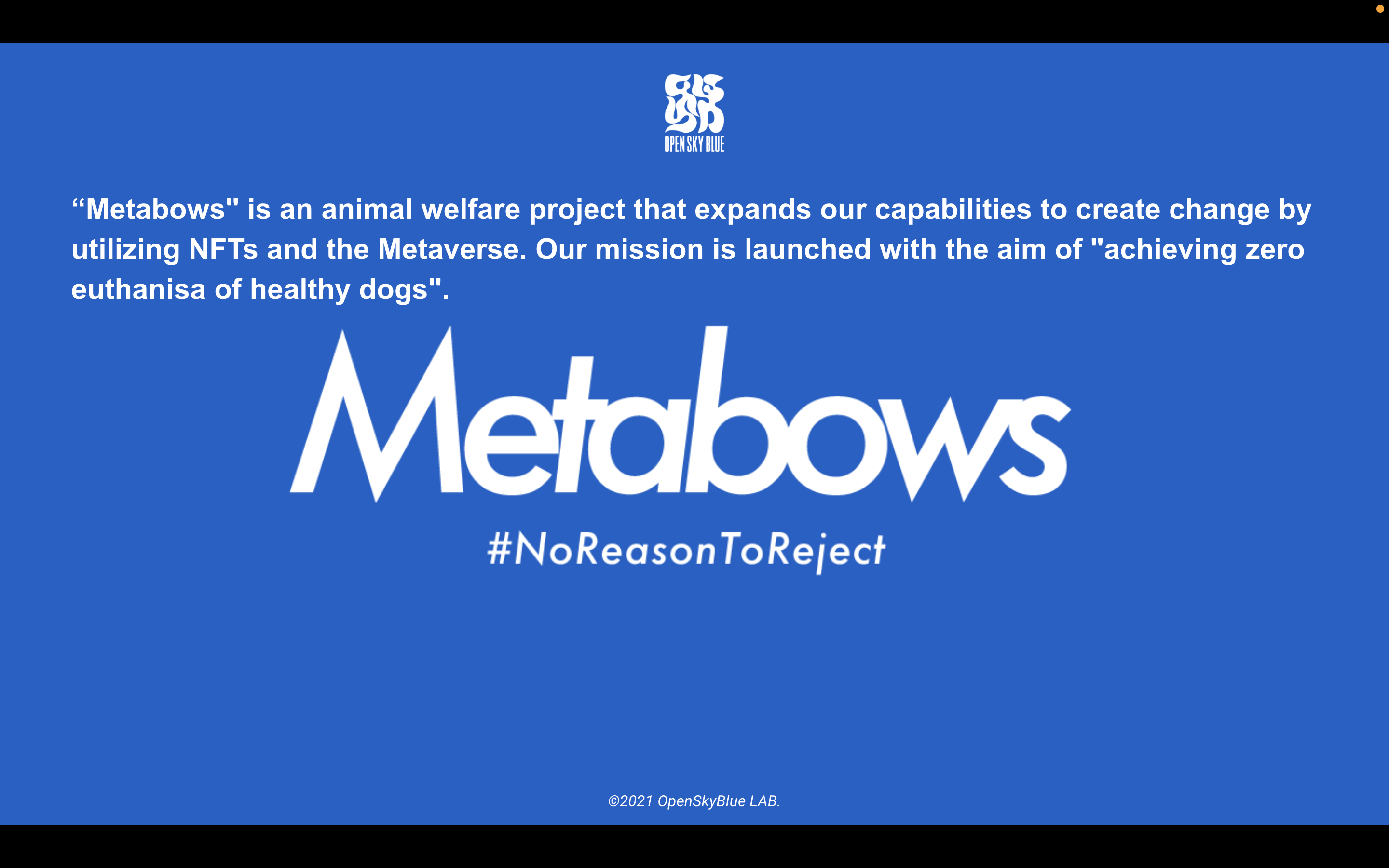 How we help dogs using NFTs and aim for zero unnecessary euthanasia.