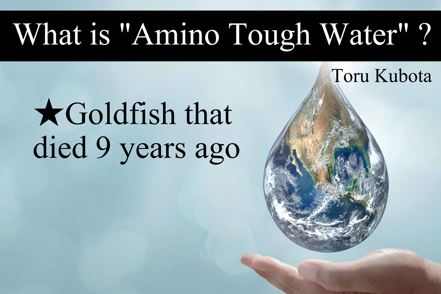 Goldfish that died 9 years ago