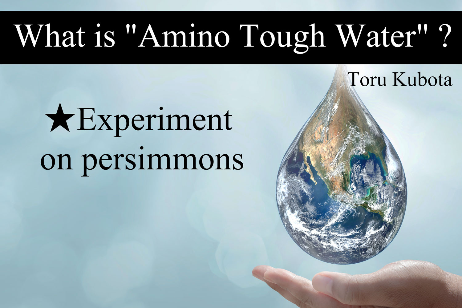 Experiment on persimmons