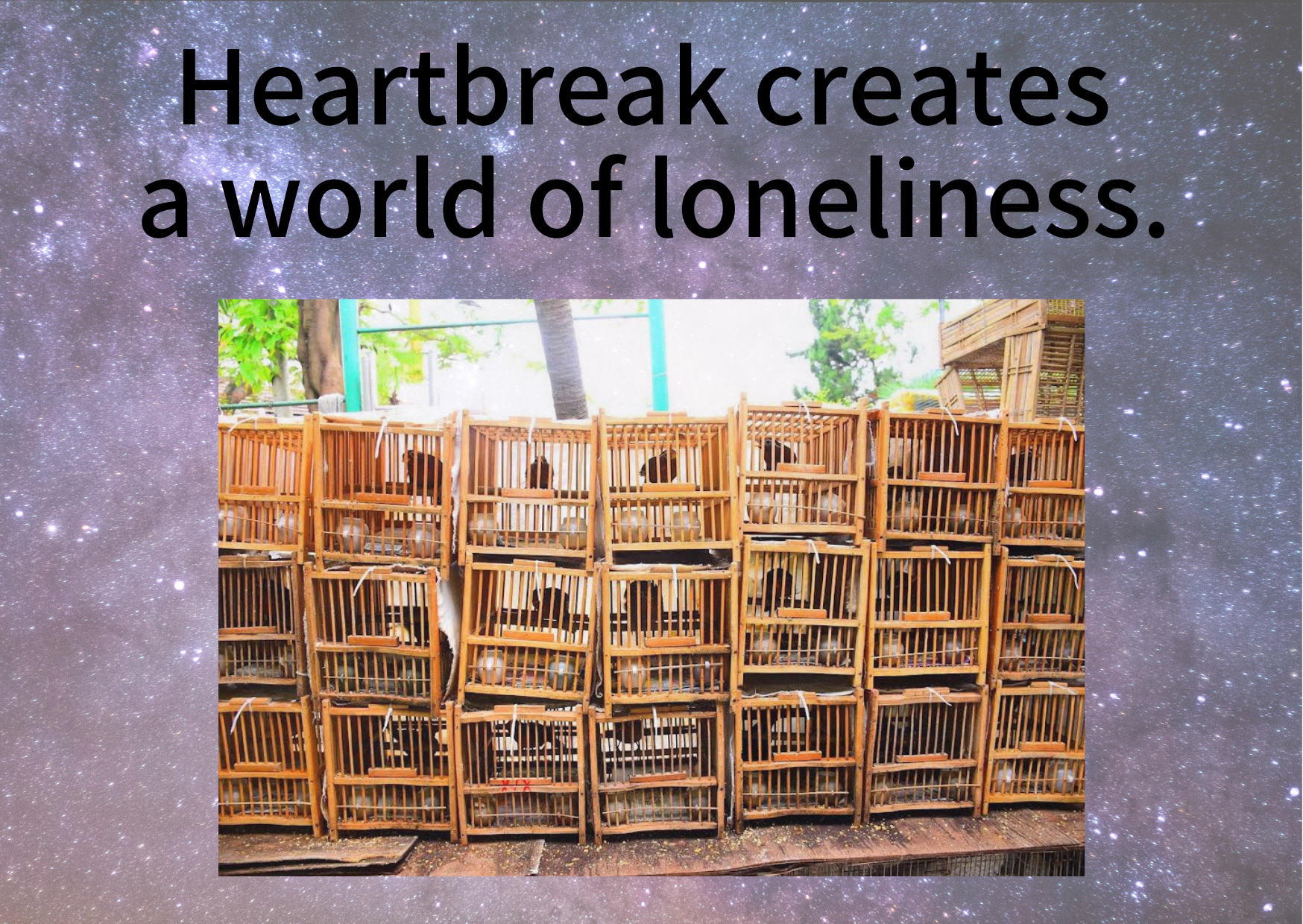 Sick minds create a lonely world.