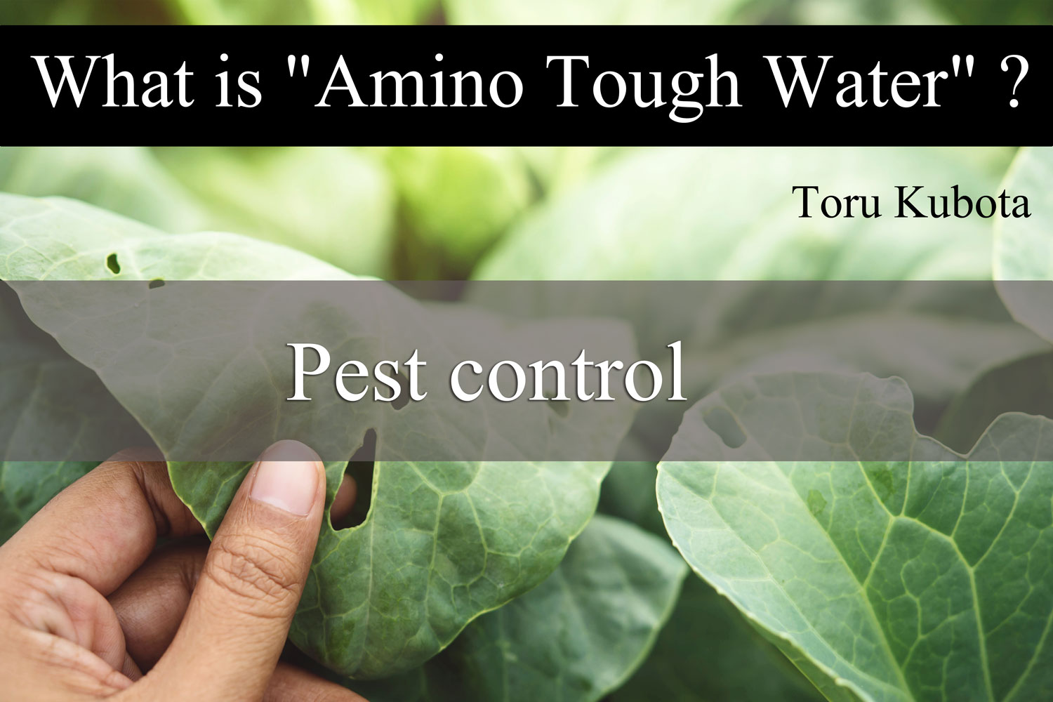 Pest control
