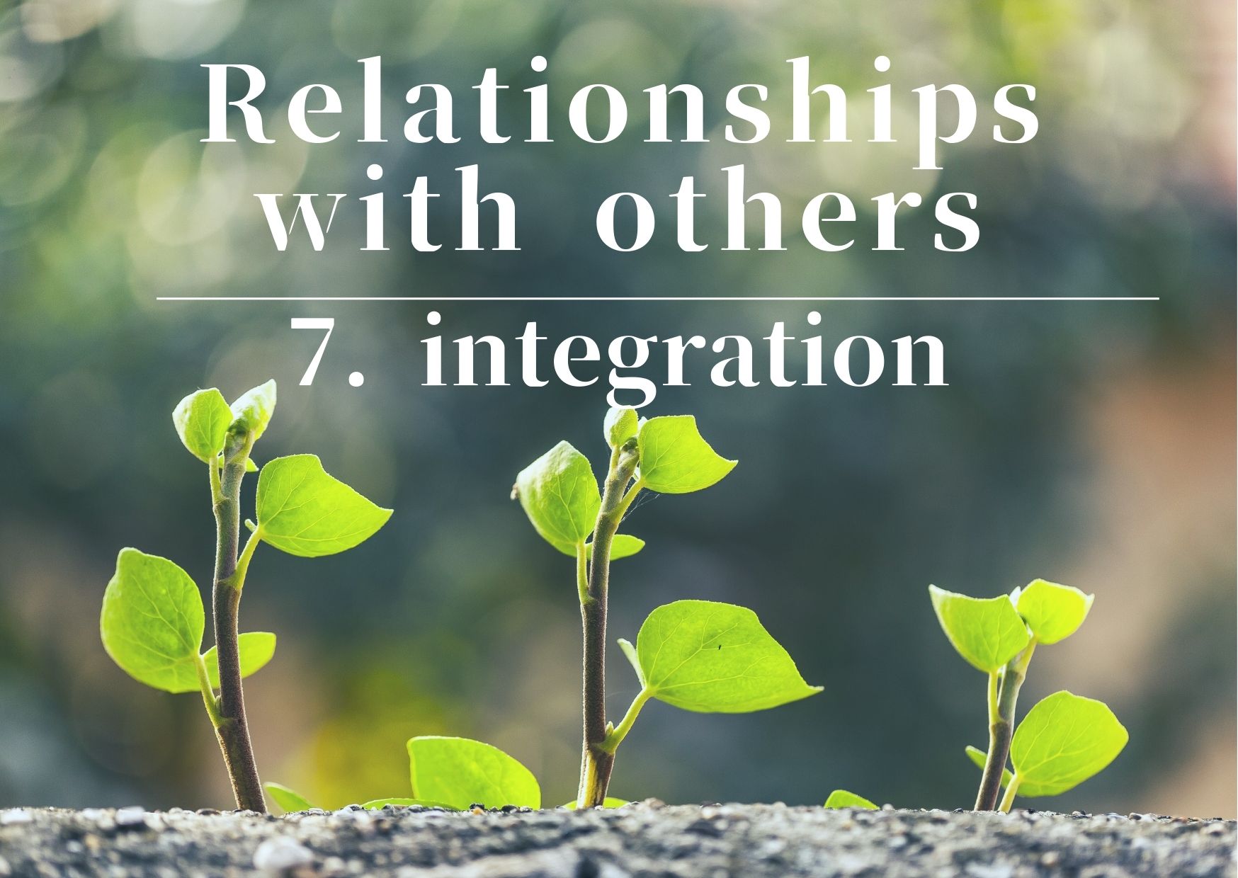 Relationships with others/7. Integration