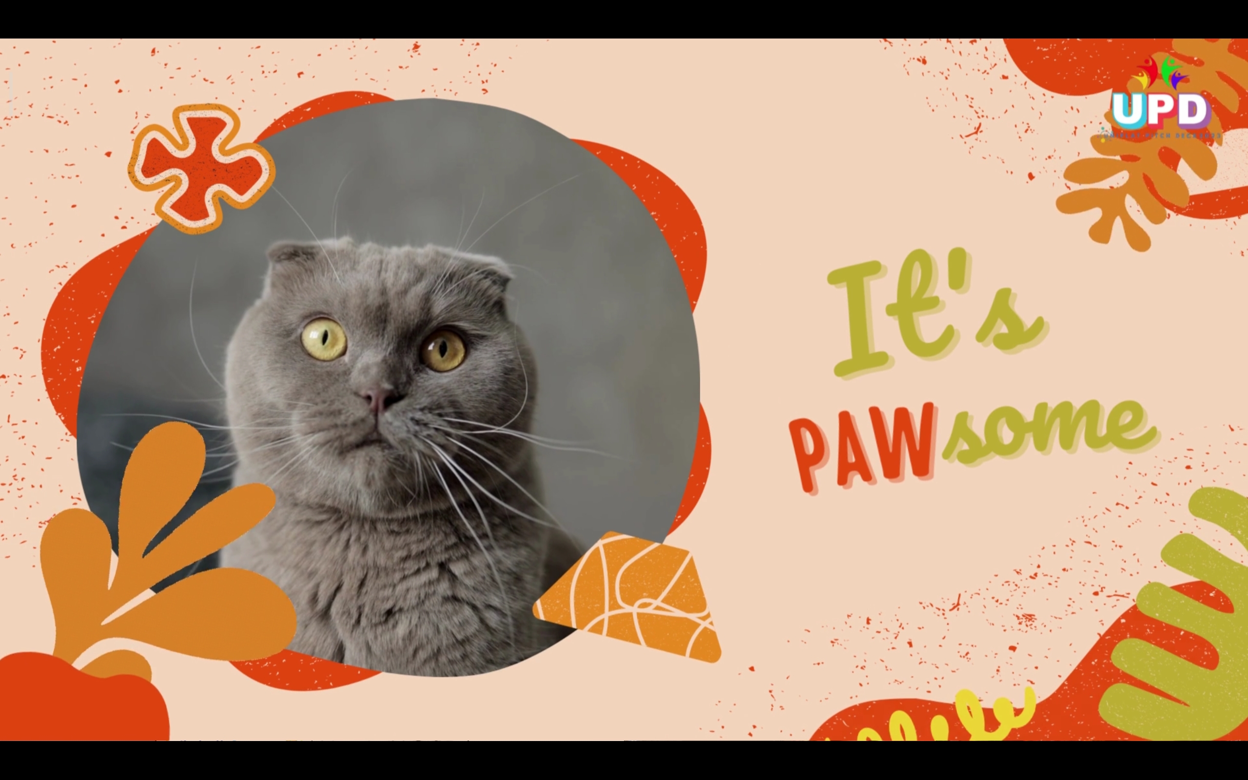 UPD 2023 | Meleah Belchez | Social Category - PAWsome: Blynk-Integrated Smart RFID Sensory Indoor Pet Feeder