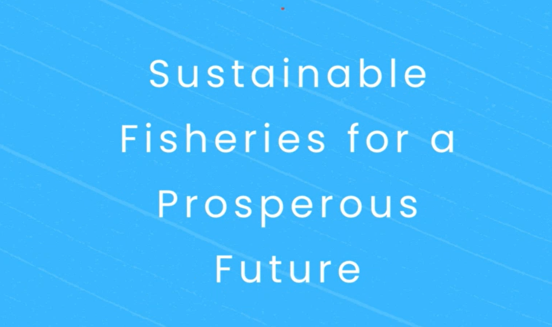 Sustainable Fisheries for a Prosperous Future