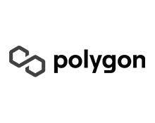 Polygon Matics