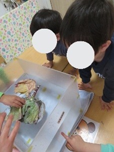 水槽に野菜を浮かべる様子