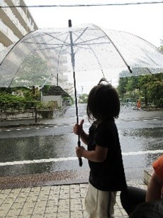 傘を指して雨を見る様子