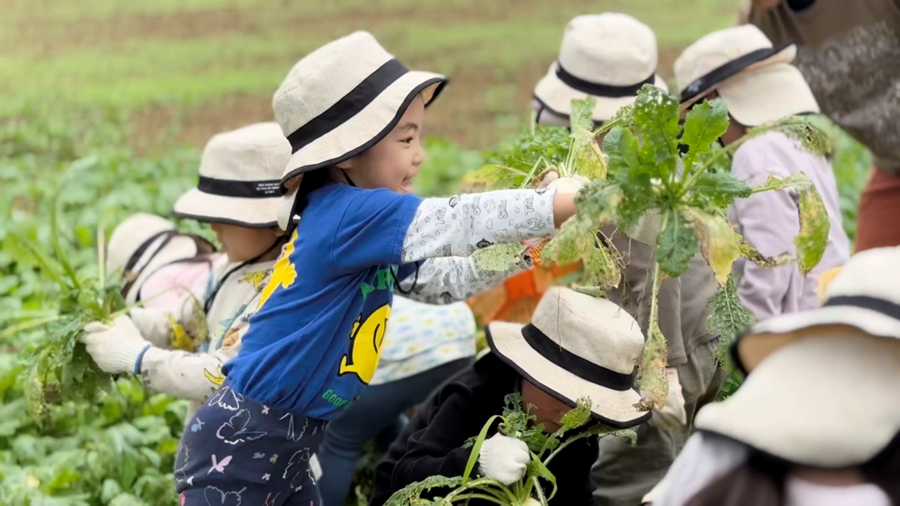 子どもたちに“食“を育てる本物の体験を。畑のお手伝いレポートの画像