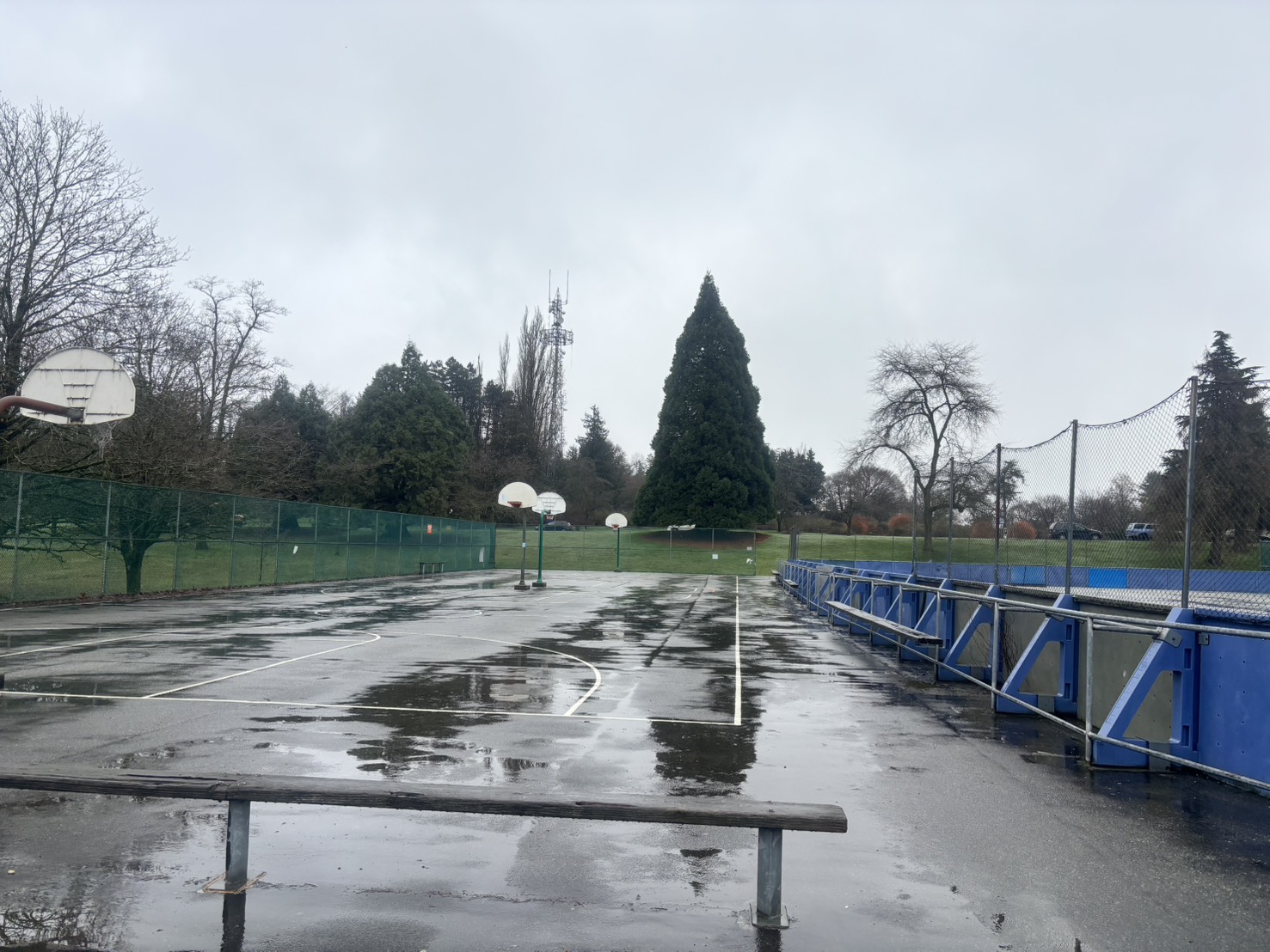 大学生のカナダ日記（２１）エリザベス公園