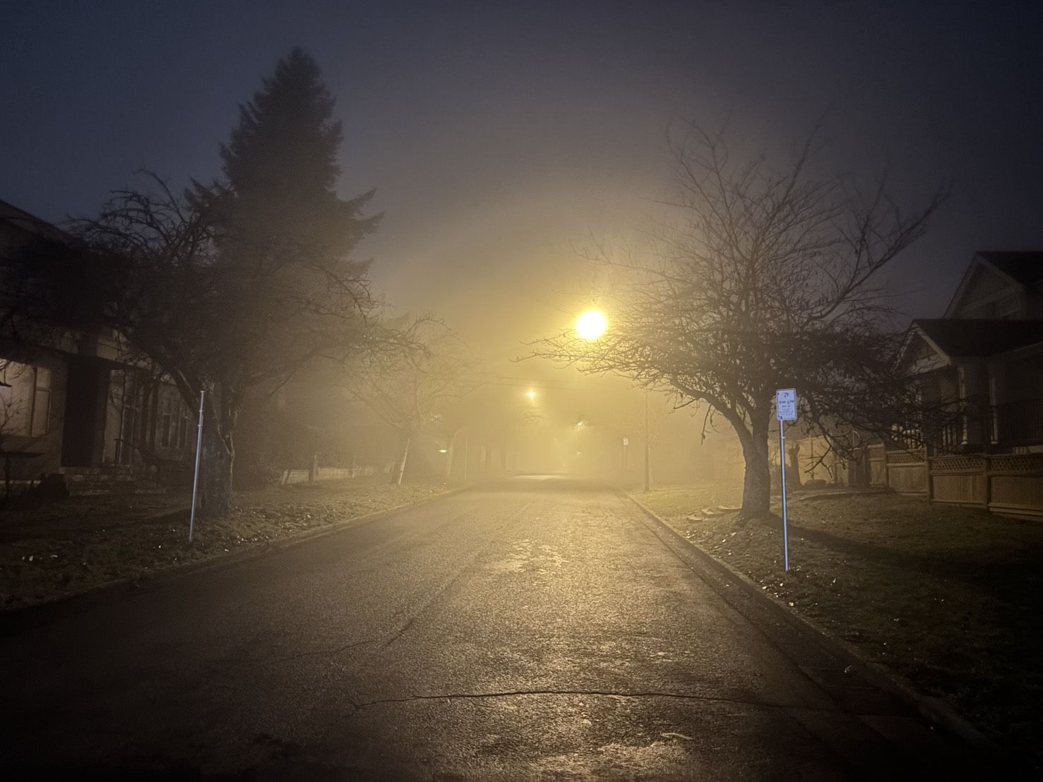 大学生のカナダ日記（１３）　霧