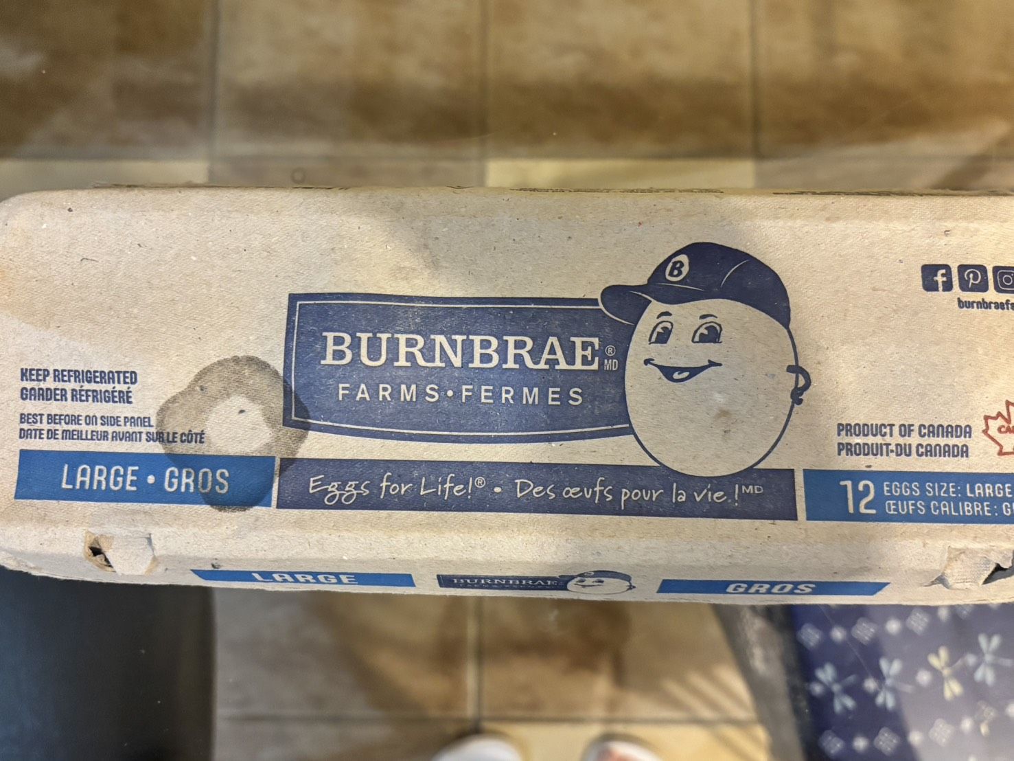 大学生のカナダ日記（１９）　卵