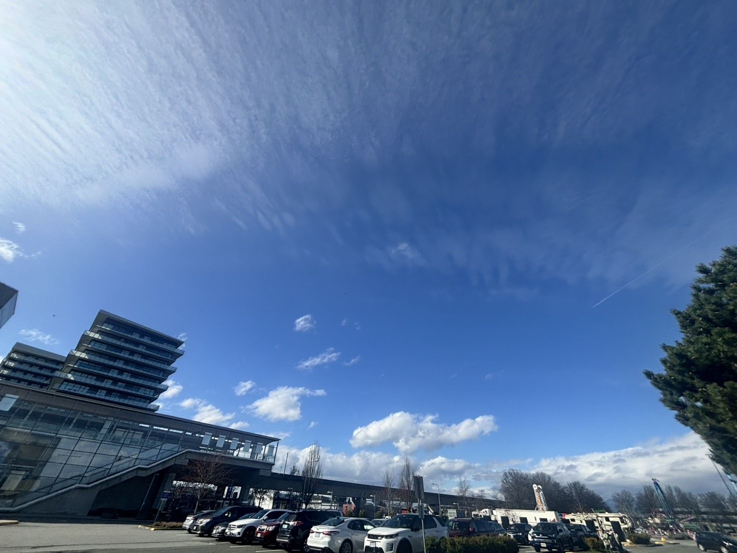 大学生のカナダ日記（４８）　晴れの日