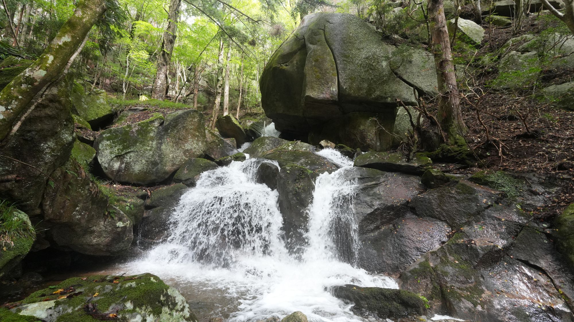 川内の豊かな水を辿って　古熊山不動滝
