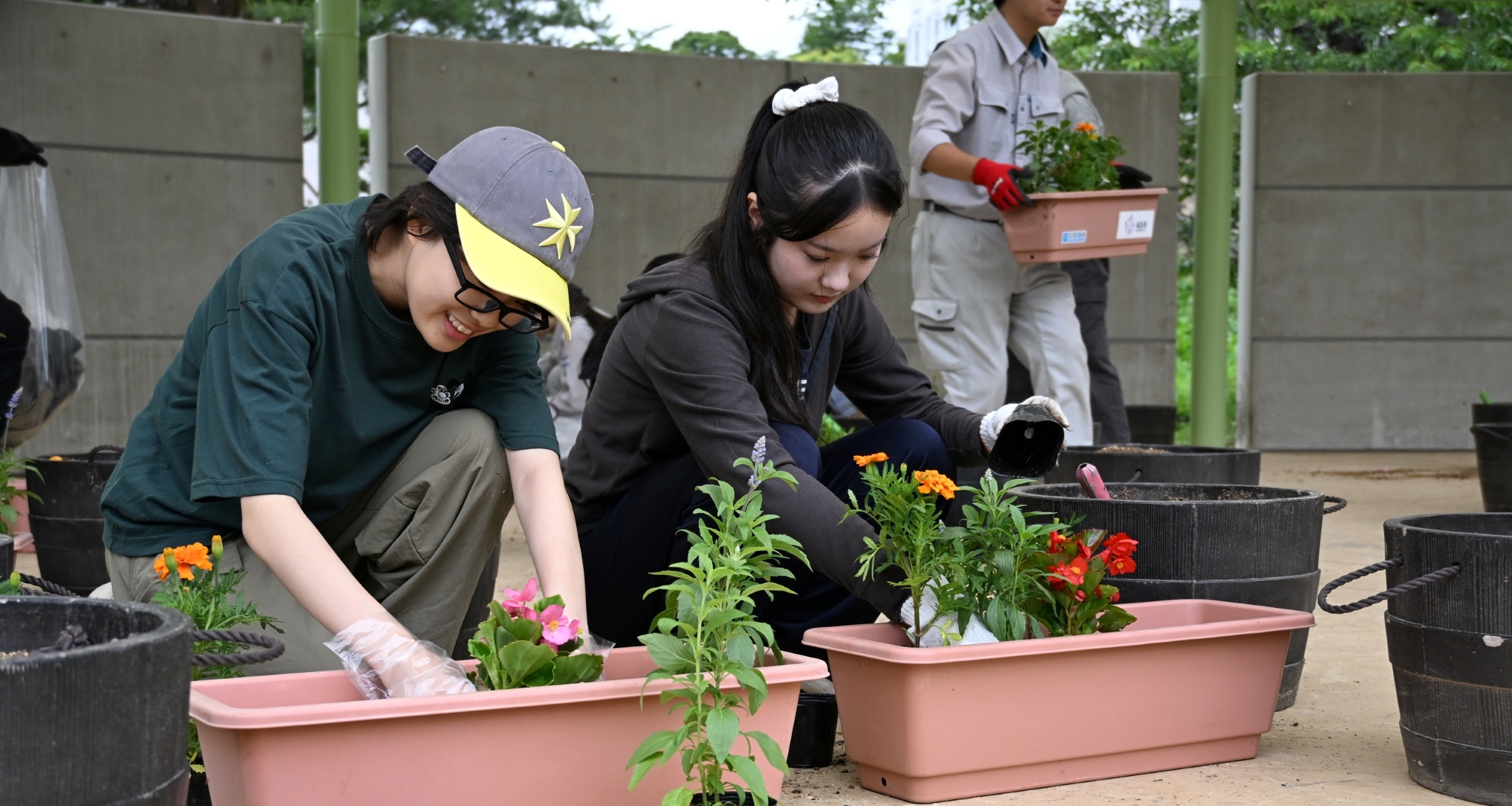 橘、学法福島、東稜、成蹊高の生徒　プランターに花植え