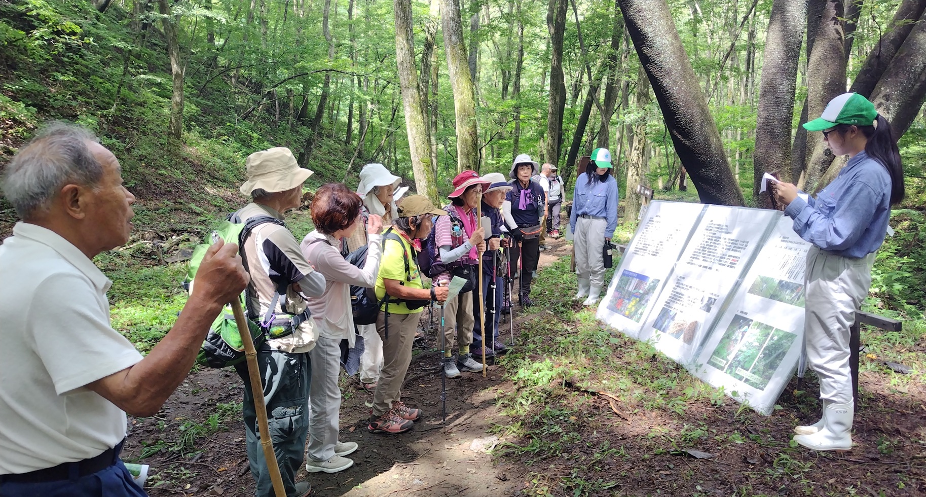 白河・天狗山「レンゲショウマまつり」にぎわう　修明高地域資源科植物資源班の生徒が保全活動を紹介
