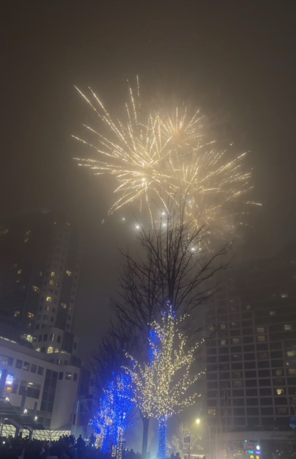 大学生のカナダ日記（１１）新年