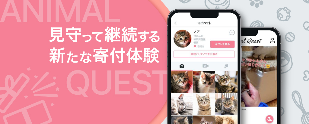 年間約2.3万匹の殺処分に挑むペットテック！フードや医療費を気軽に寄付できる動物向けギフティングアプリ「Animal Quest」