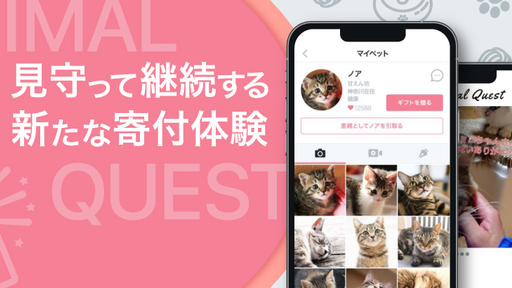 年間約2.3万匹の殺処分に挑むペットテック！フードや医療費を気軽に寄付できる動物向けギフティングアプリ「Animal Quest」